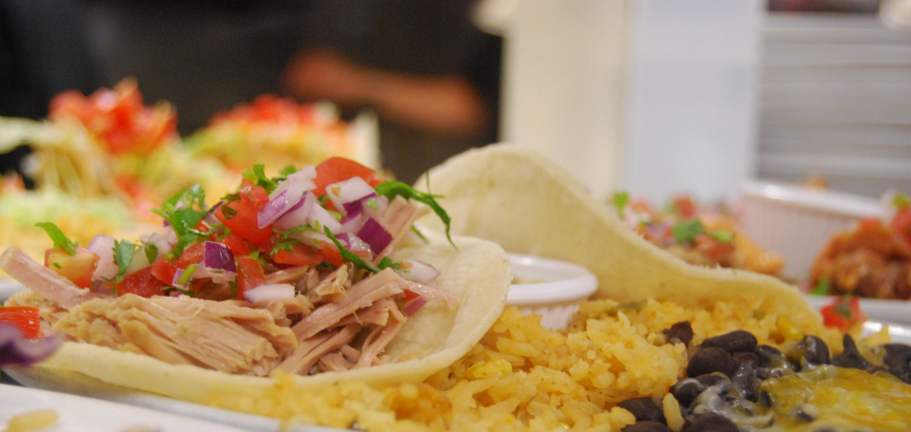 Order Carnitas Taco Plate food online from Coyote Grill store, Laguna Beach on bringmethat.com