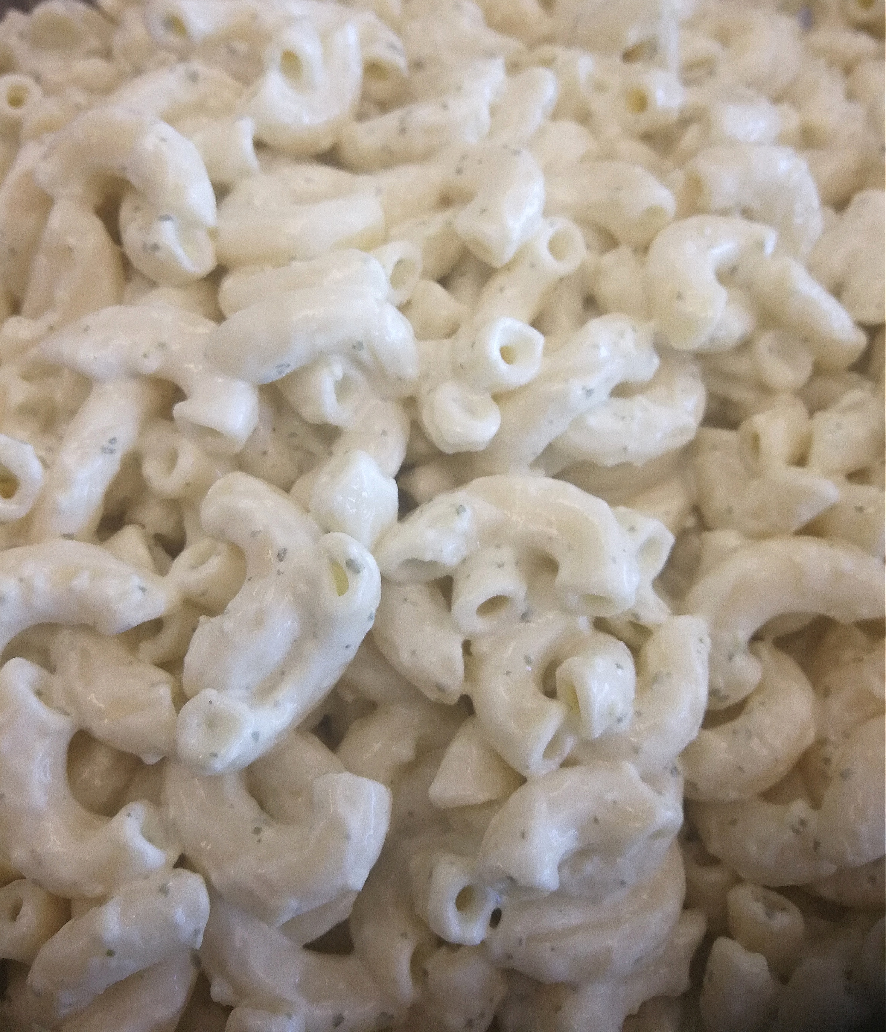 Order Macaroni Salad food online from Couple House Sub store, Toms River on bringmethat.com