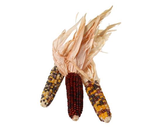 Order Indian Corn Bunched (1 ct) food online from Winn-Dixie store, Birmingham on bringmethat.com