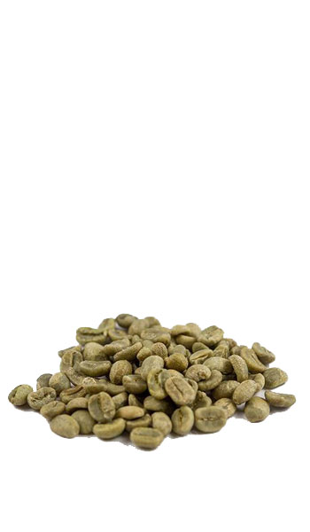 Order Decaf Greenline Espresso food online from Metropolis Coffee Co store, Chicago on bringmethat.com