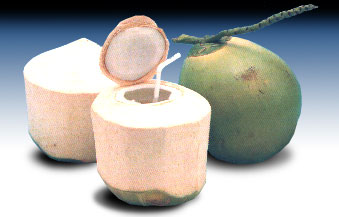 Order Young Fresh Coconut food online from King Thai Restaurant store, Saint Paul on bringmethat.com