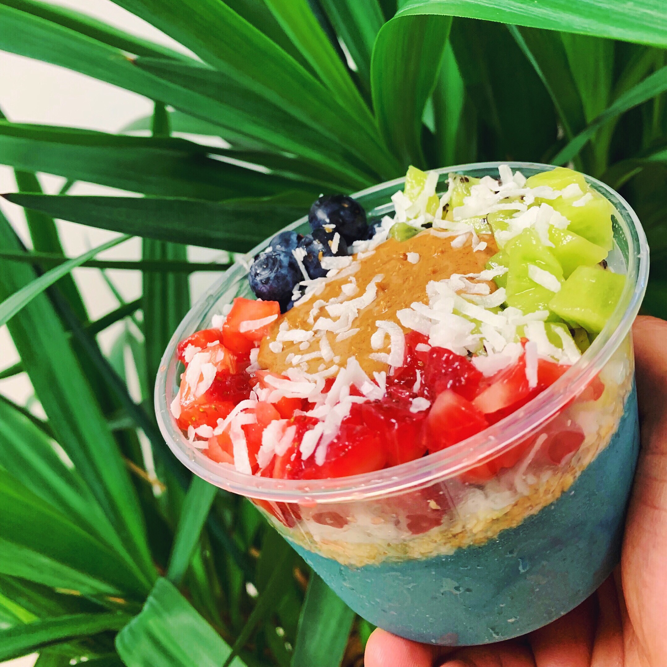 Order Mystery Blue Bowl food online from Fitrition store, Westwood on bringmethat.com