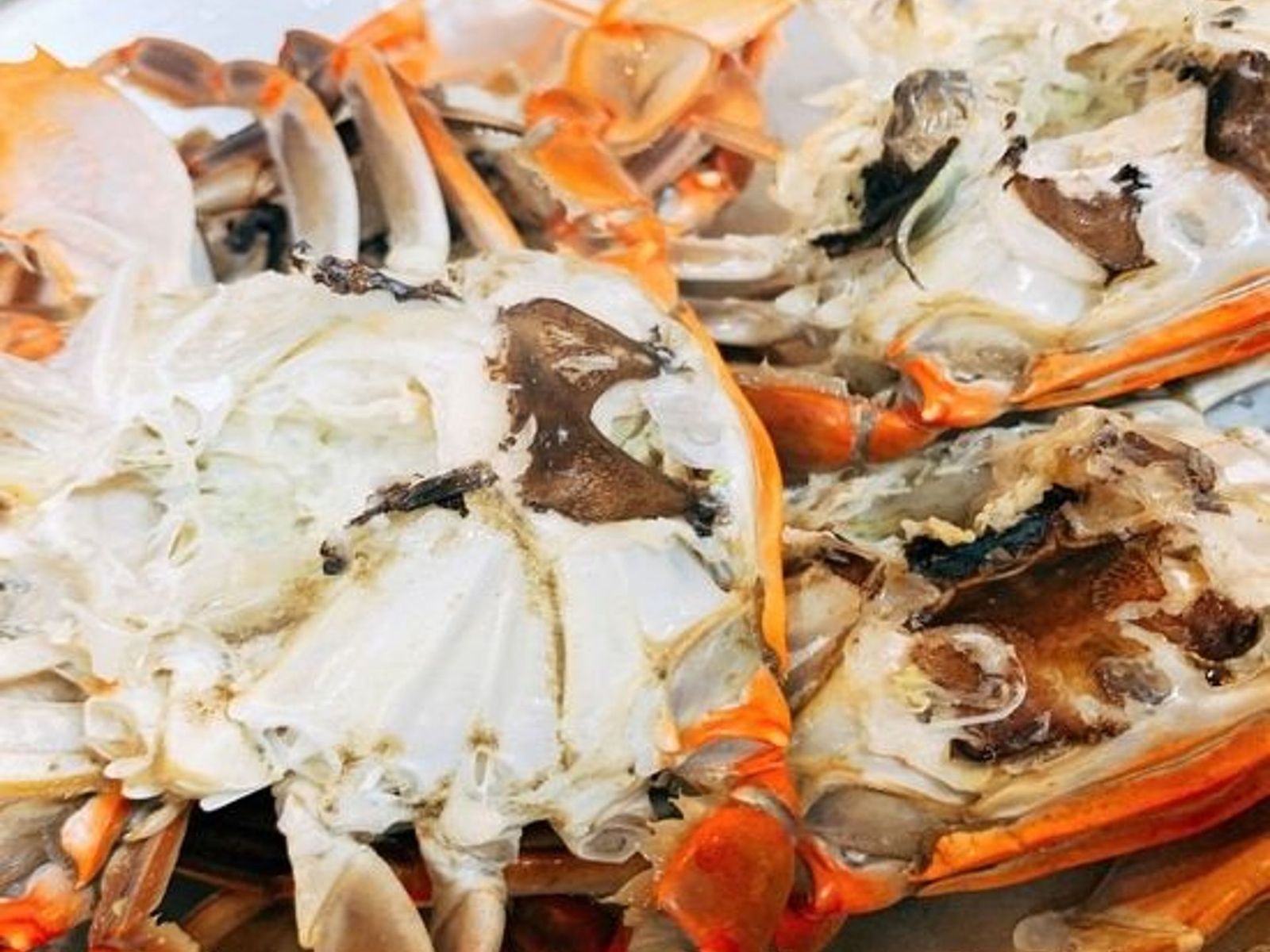 Order M12. Blue Crab food online from Juicy Seafood store, Clarksville on bringmethat.com
