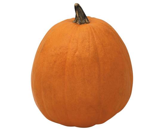 Order Large Pumpkin (1 pumpkin) food online from Safeway store, Surprise on bringmethat.com