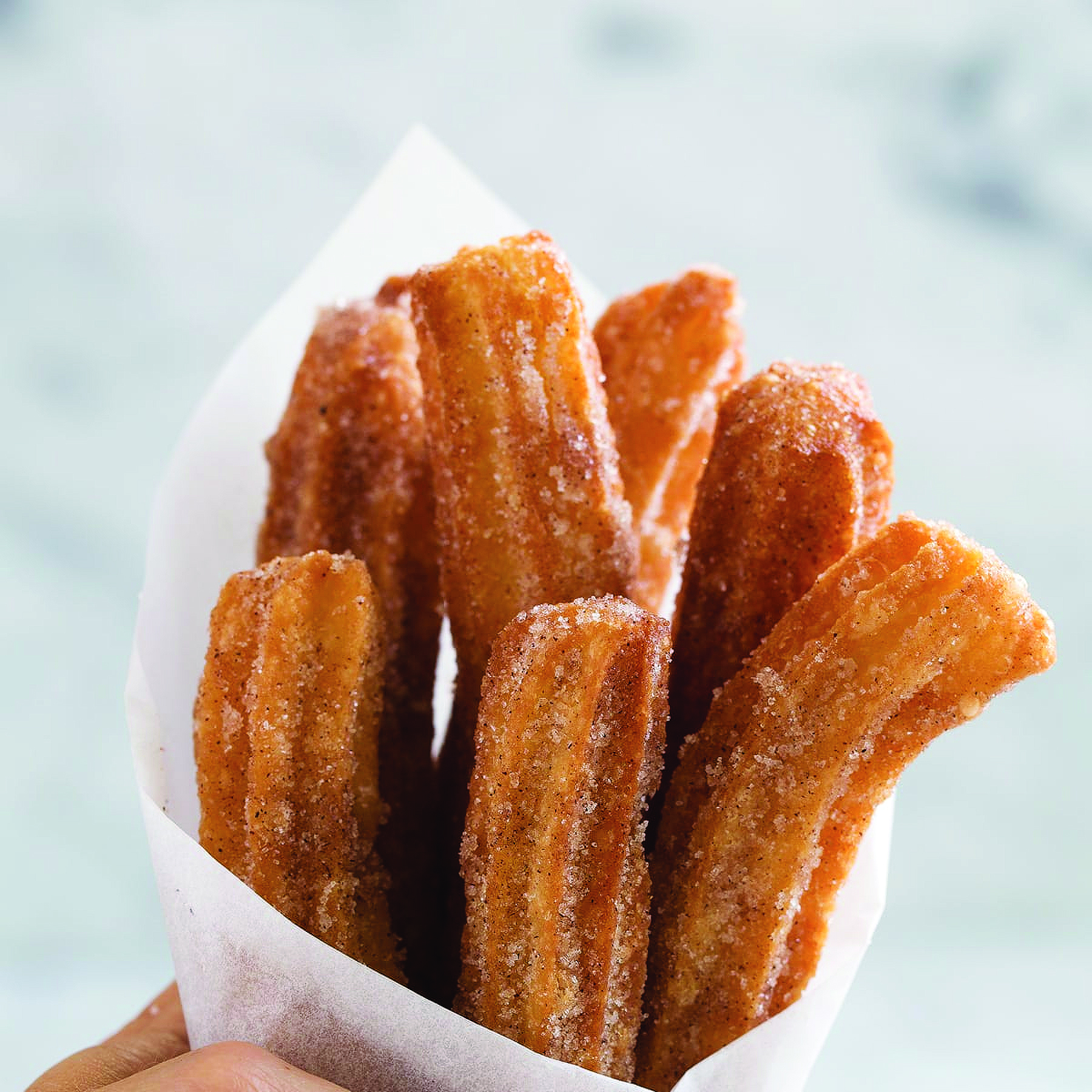 Order Churro food online from Jalapenos Mexican Food store, Orland Park on bringmethat.com