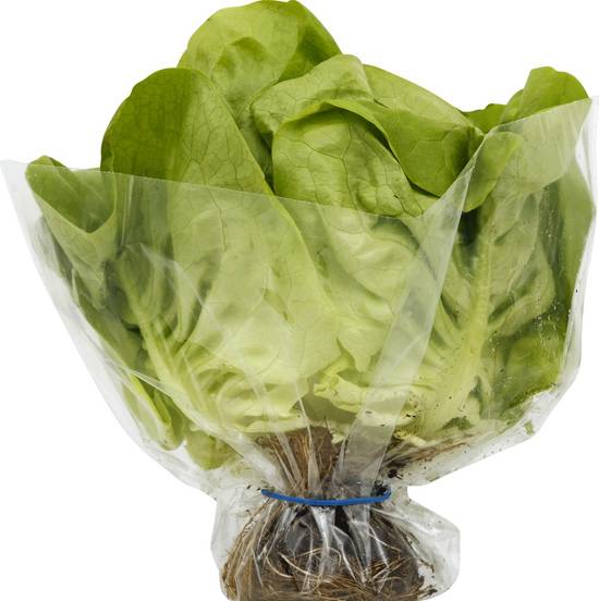 Order Pete's Living Greens · Butter Lettuce (1 ct) food online from Albertsons store, Boulder City on bringmethat.com