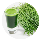 Order Wheatgrass Shot food online from Juice Me Too store, Austell on bringmethat.com