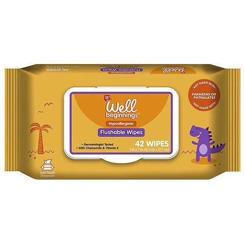 Order Well Beginnings Flushable Toddler Wipes - 42.0 ea food online from Walgreens store, North Las Vegas on bringmethat.com