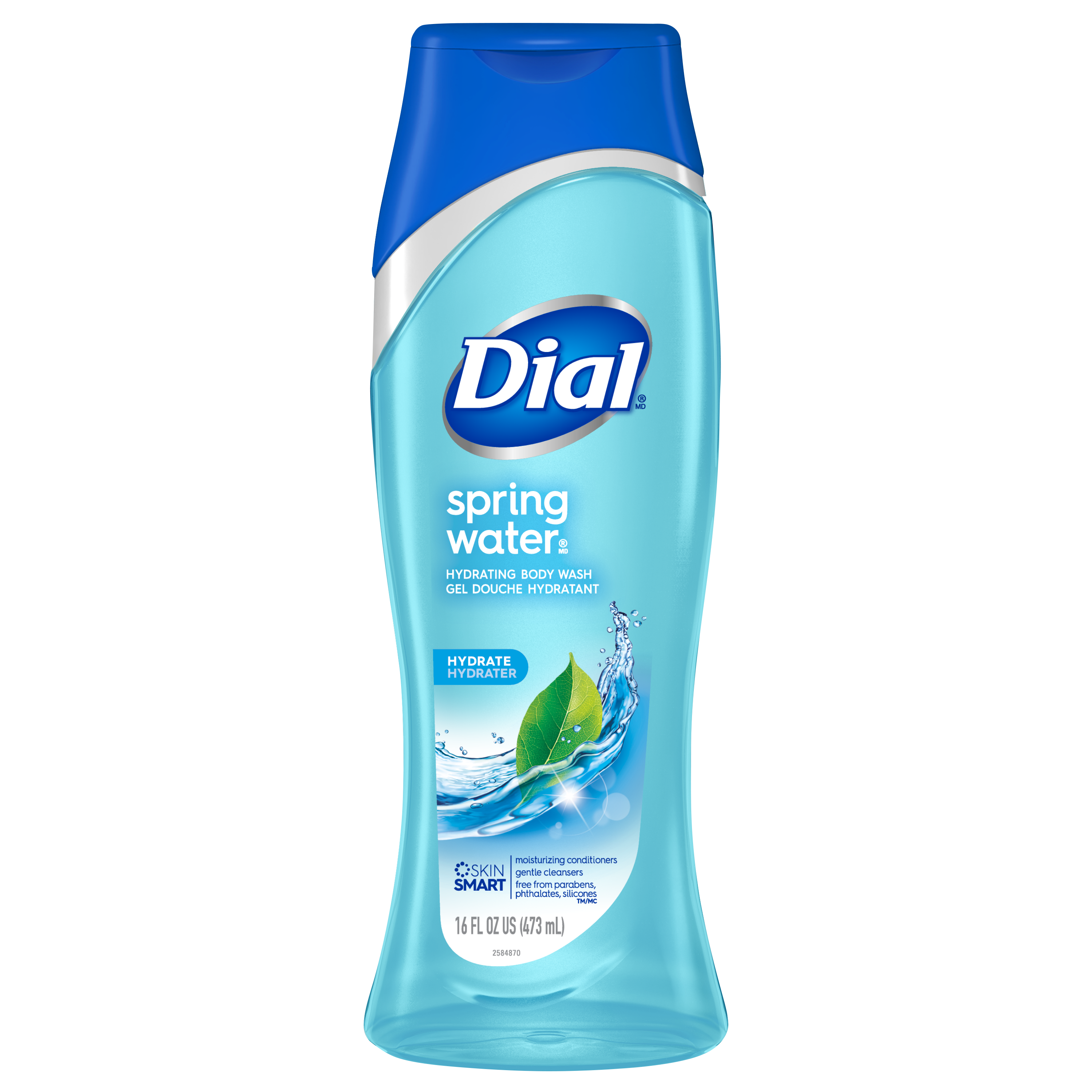 Order Dial Body Wash, Spring Water - 16 fl oz food online from Rite Aid store, MILLER PLACE on bringmethat.com