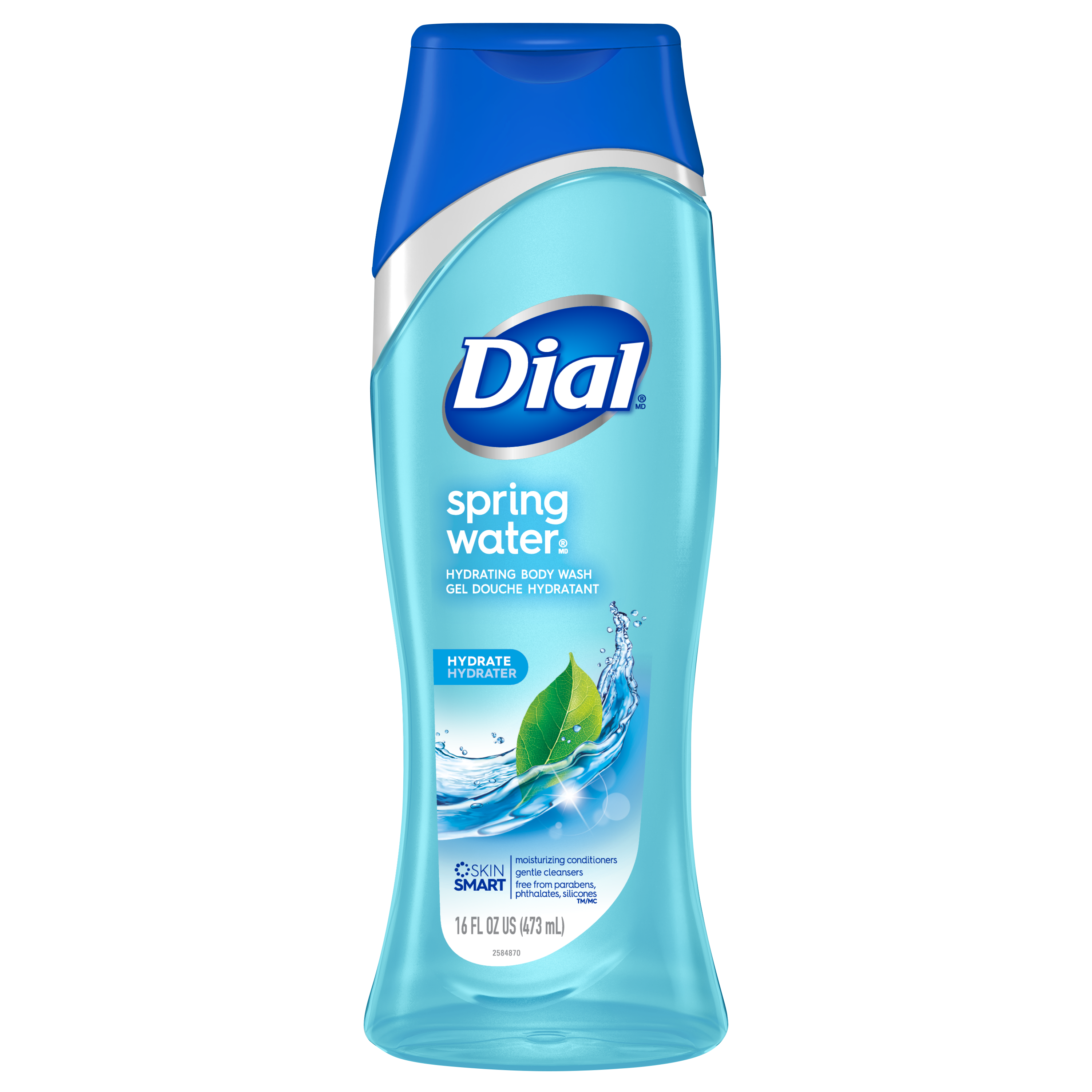 Order Dial Body Wash, Spring Water - 16 fl oz food online from Rite Aid store, Williamsville on bringmethat.com