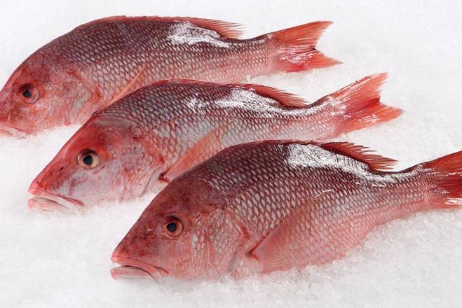 Order Cleaned Red Snapper (Each) food online from Ctown Supermarkets store, Uniondale on bringmethat.com