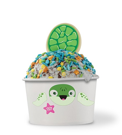 Order The Turtle Creature Creation food online from Baskin Robbins store, San Jose on bringmethat.com