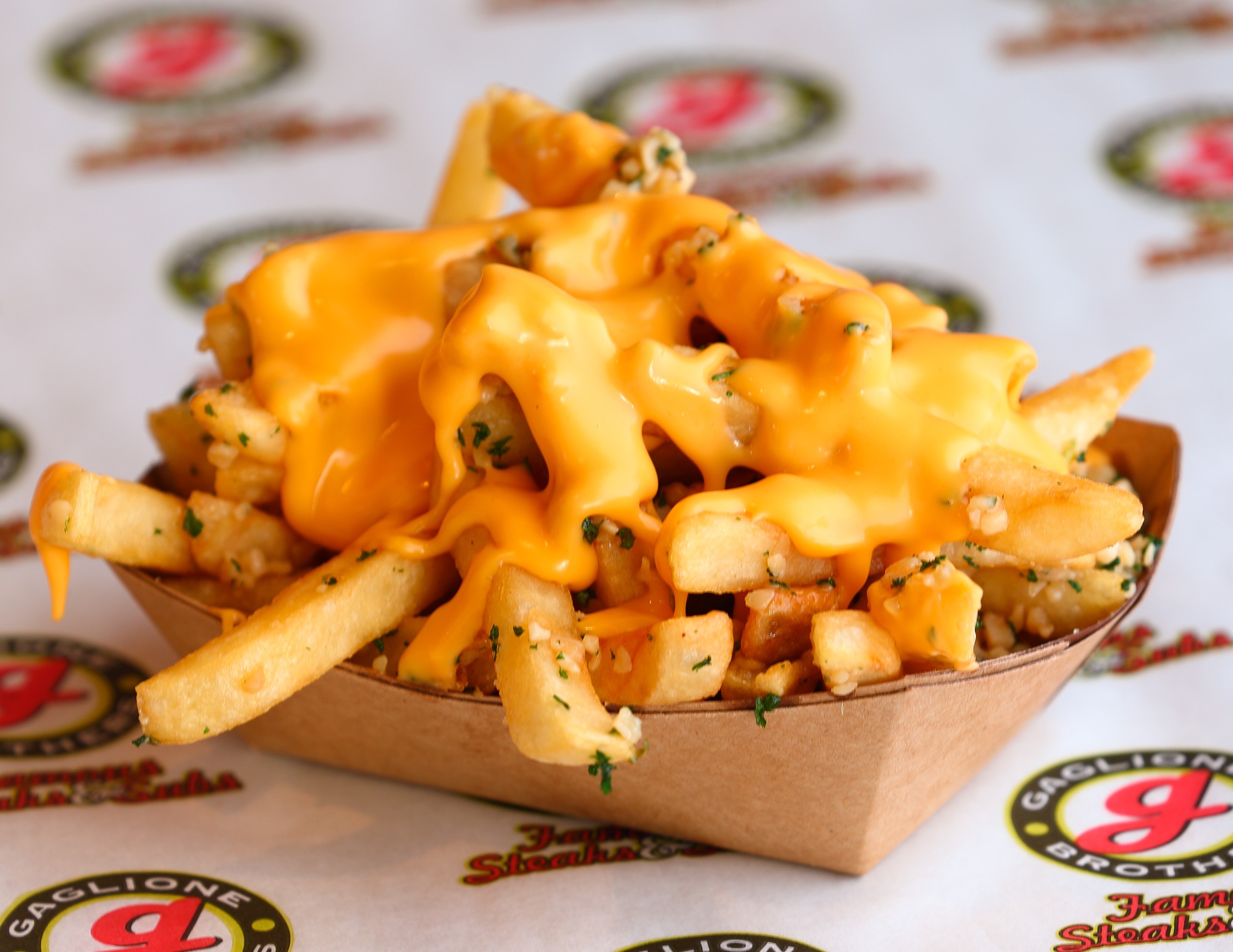 Order Garlic Cheez Fries food online from Gaglione Brothers store, San Diego on bringmethat.com