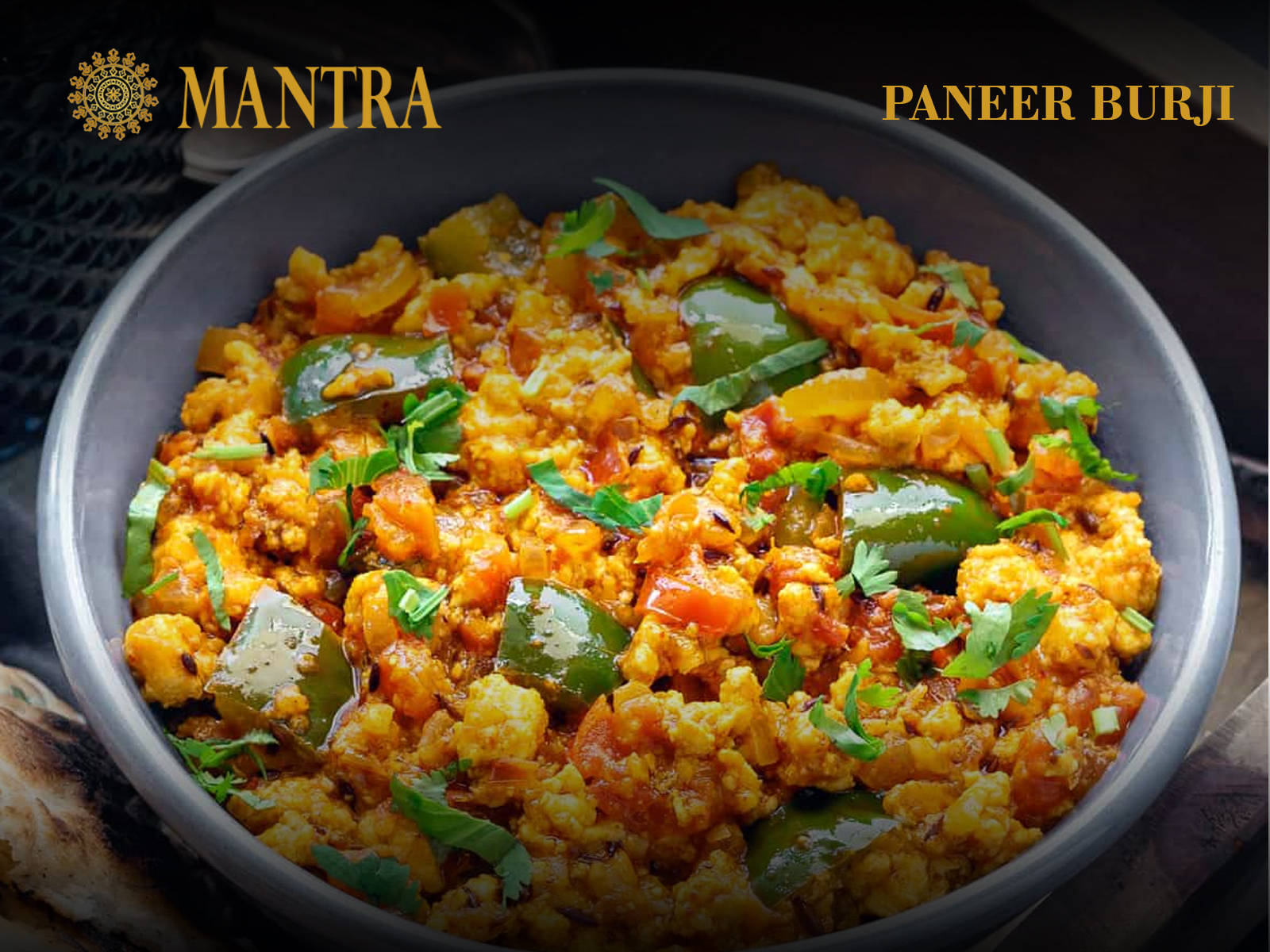 Order Paneer Burji food online from Mantra Authentic Indian Restaurant store, Jersey City on bringmethat.com