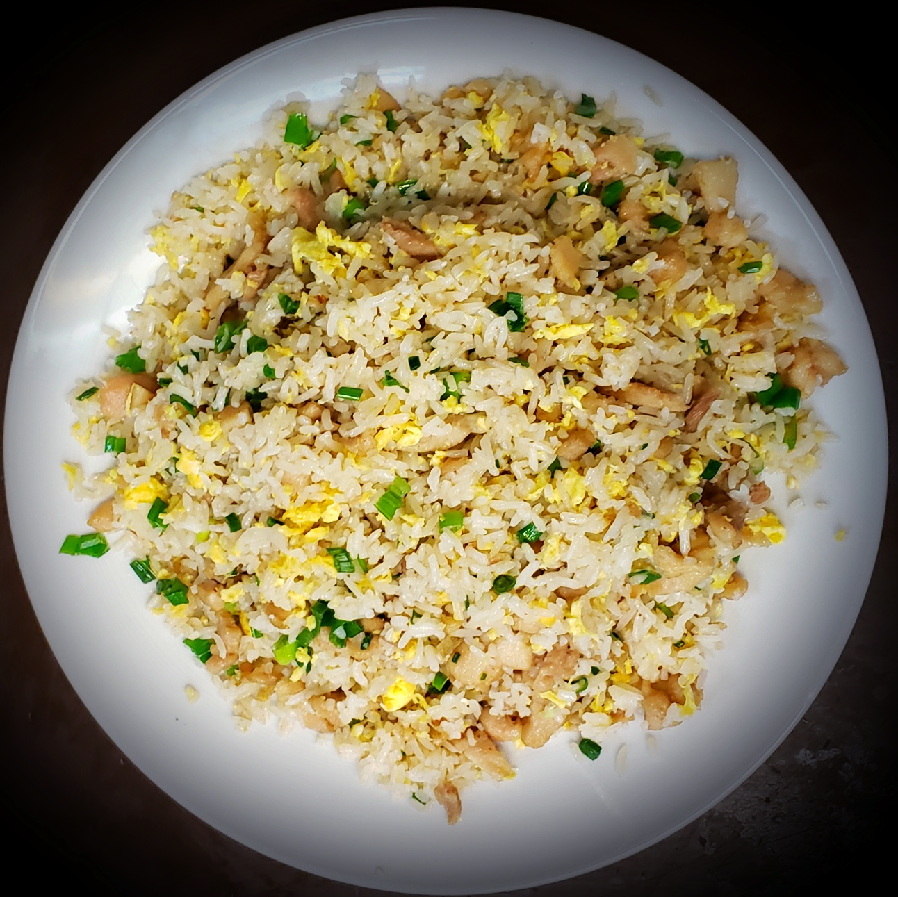 Order 616. Chicken and Salted Fish Fried Rice food online from Thien Hoang Restaurant store, Portland on bringmethat.com