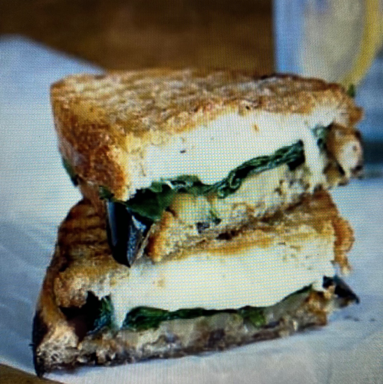 Order Grilled Eggplant and Melted Mozzarella Sandwich food online from Town Hall Deli store, Englewood on bringmethat.com