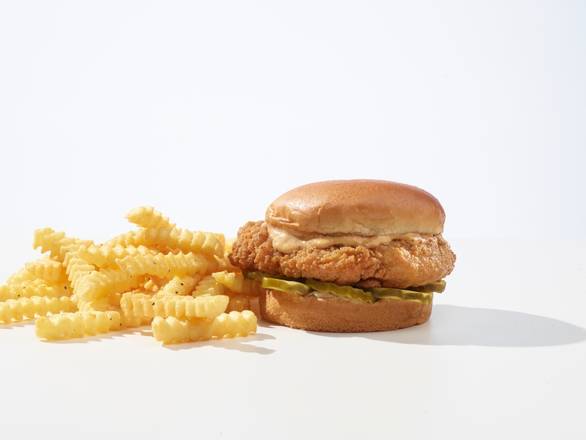 Order Crispy Chicken Combo food online from Burger Experience store, Reynoldsburg on bringmethat.com