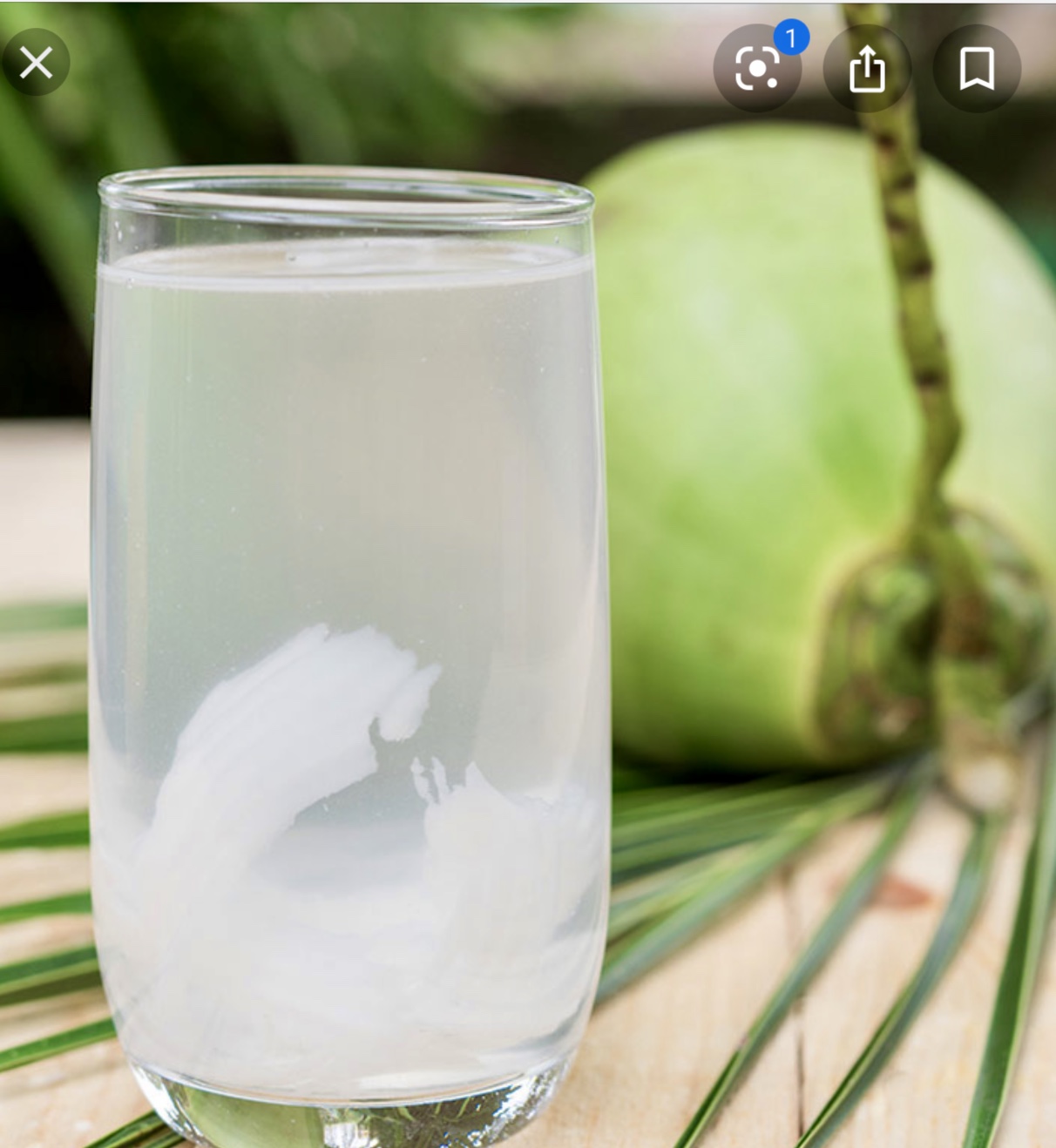 Order Coconut Juice food online from Kitchen 79 store, Jackson Heights on bringmethat.com