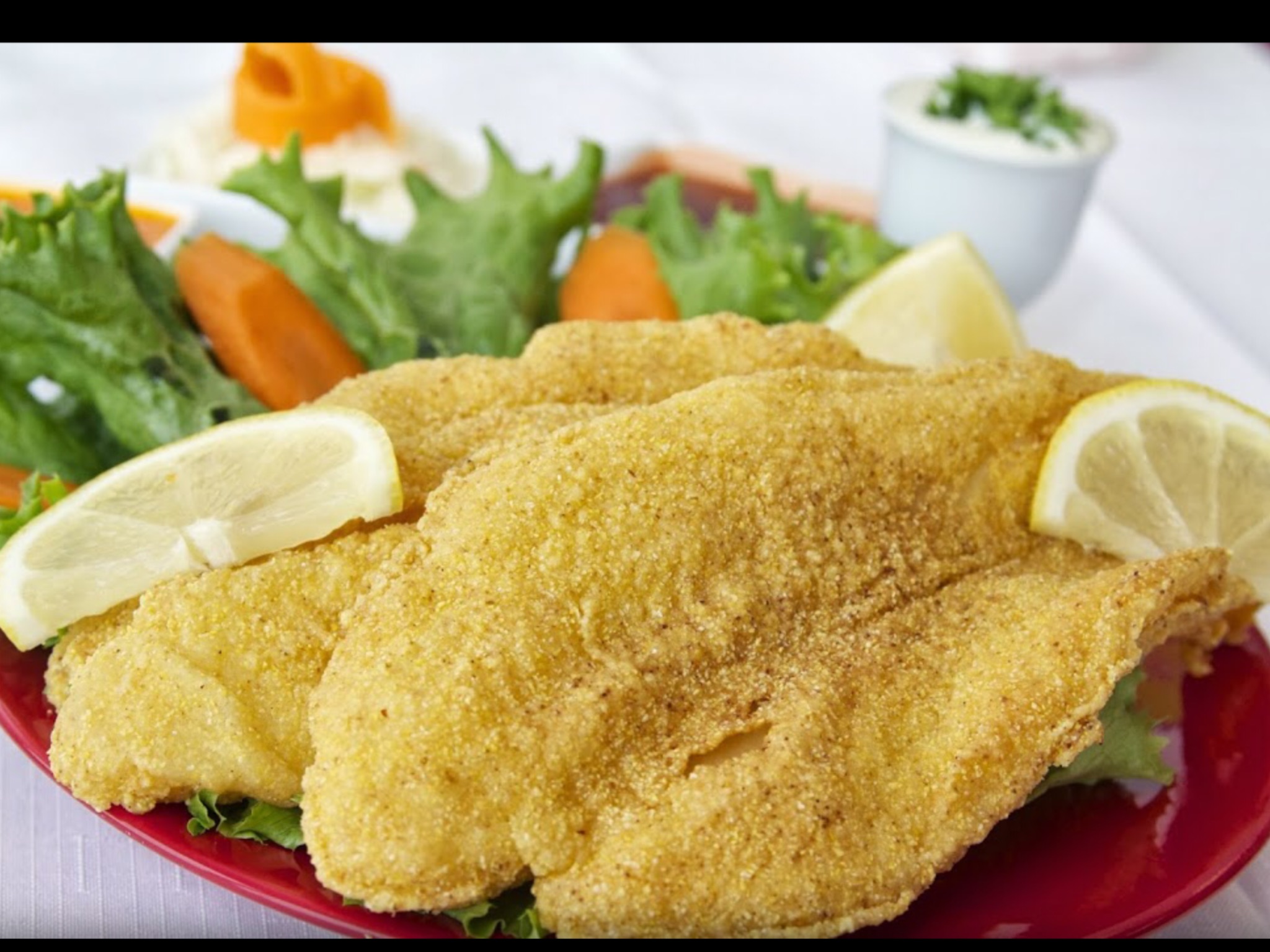 Order Tilapia Salad food online from Sharks Fish and Chicken store, Baltimore on bringmethat.com