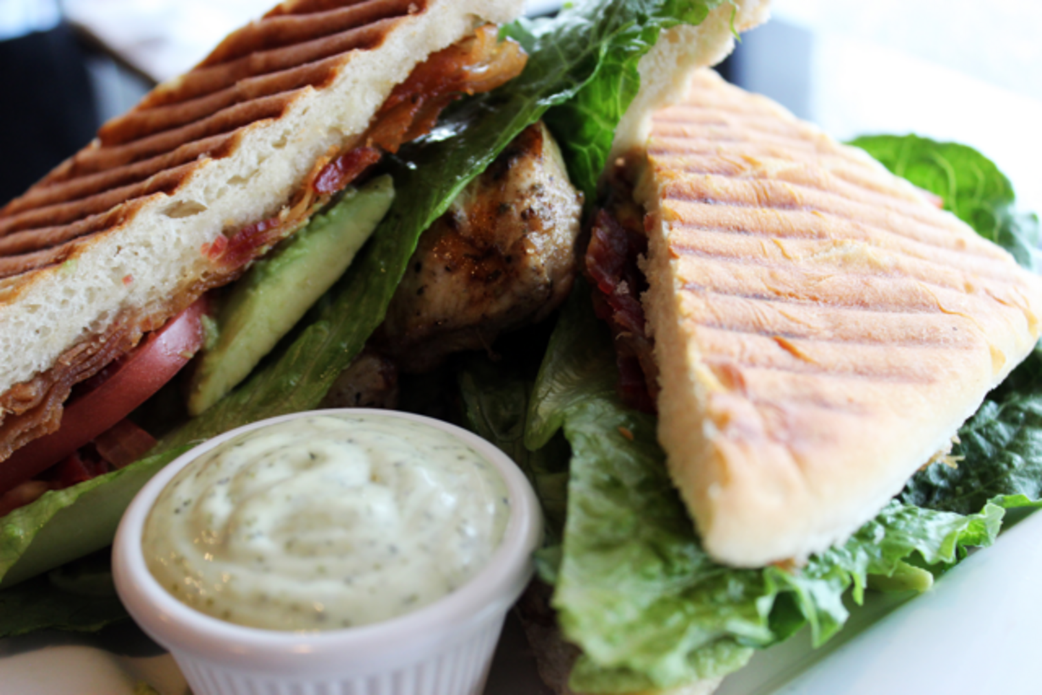 Order Grilled Chicken Avocado Club Panini food online from Kafe Neo store, Totowa on bringmethat.com