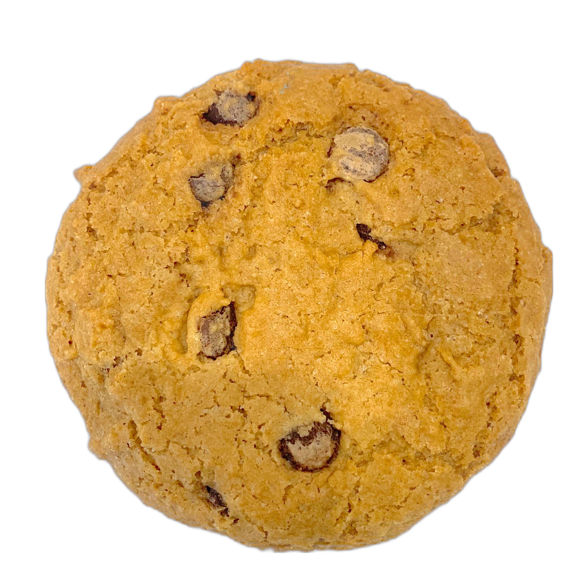 Order Vegan Gluten Free Chocolate Chip Cookie - Desserts food online from Pizza Pronto store, Pittsburgh on bringmethat.com