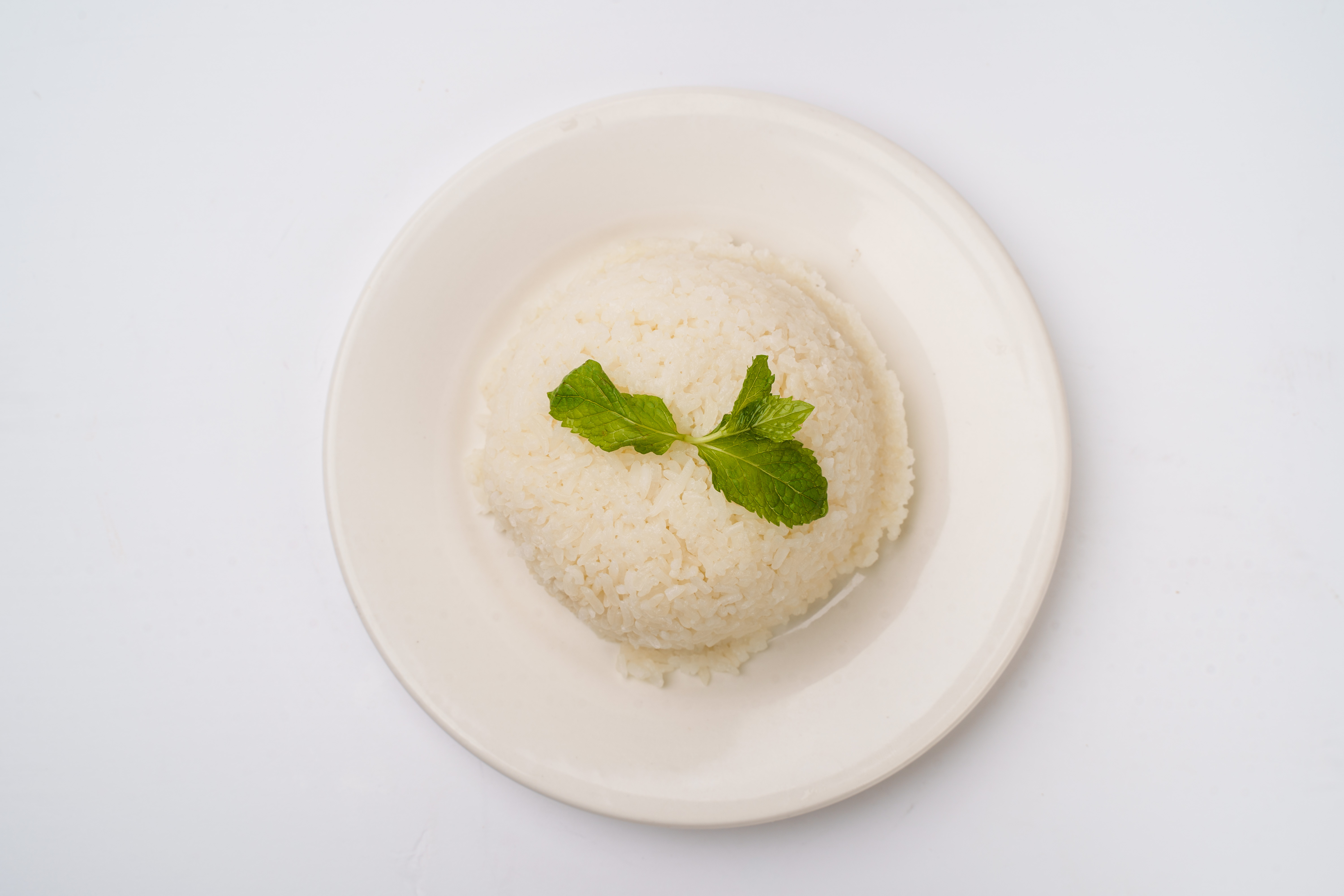 Order Rice food online from Pho Anvi store, Norwalk on bringmethat.com