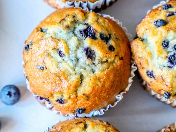 Order Blueberry Muffin food online from Bagel Place Cafe store, Sunnyvale on bringmethat.com