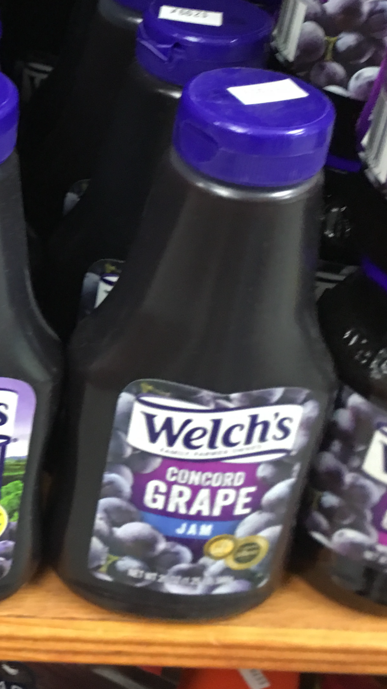 Order Welch's Concord grape jam 20oz squeeze bottle food online from Crescent Gourmet store, Astoria on bringmethat.com