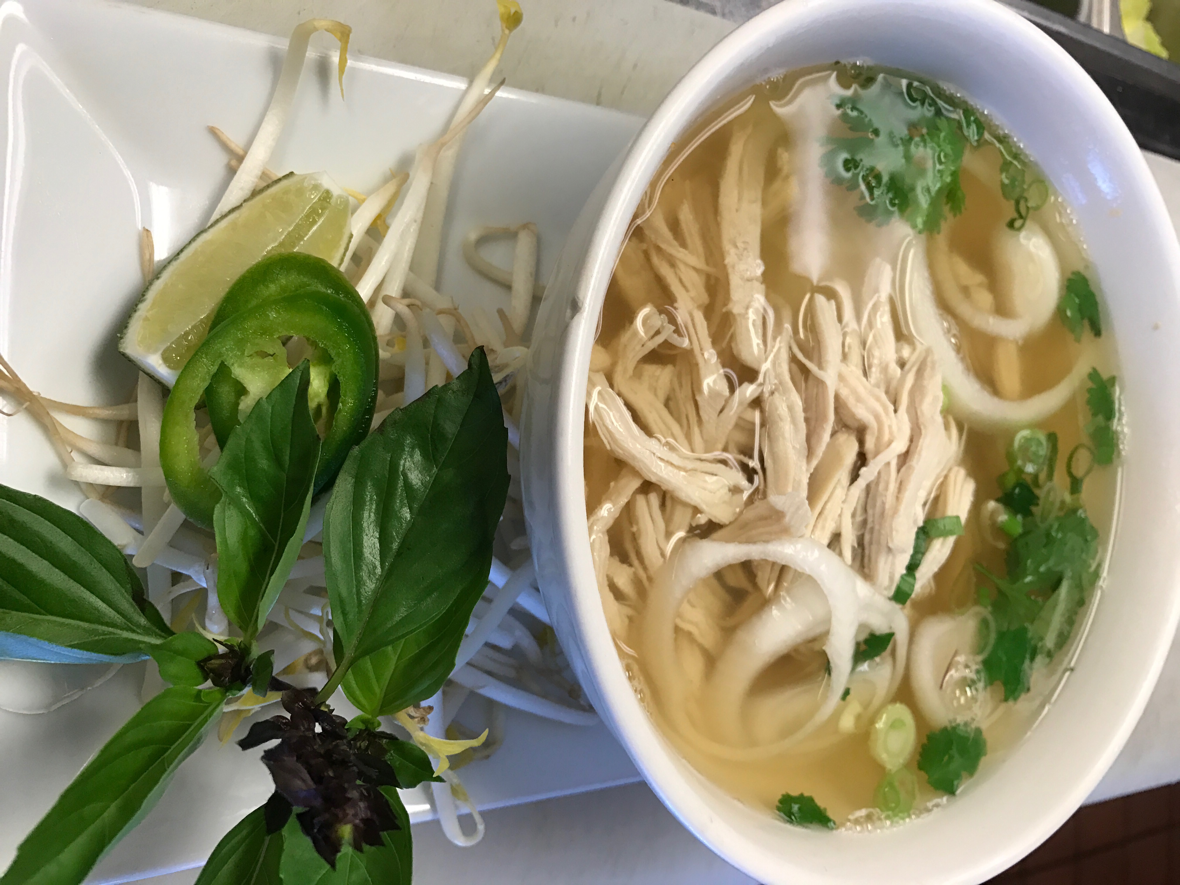 Order Pho Chicken food online from Noodle Monster store, Valley Village on bringmethat.com