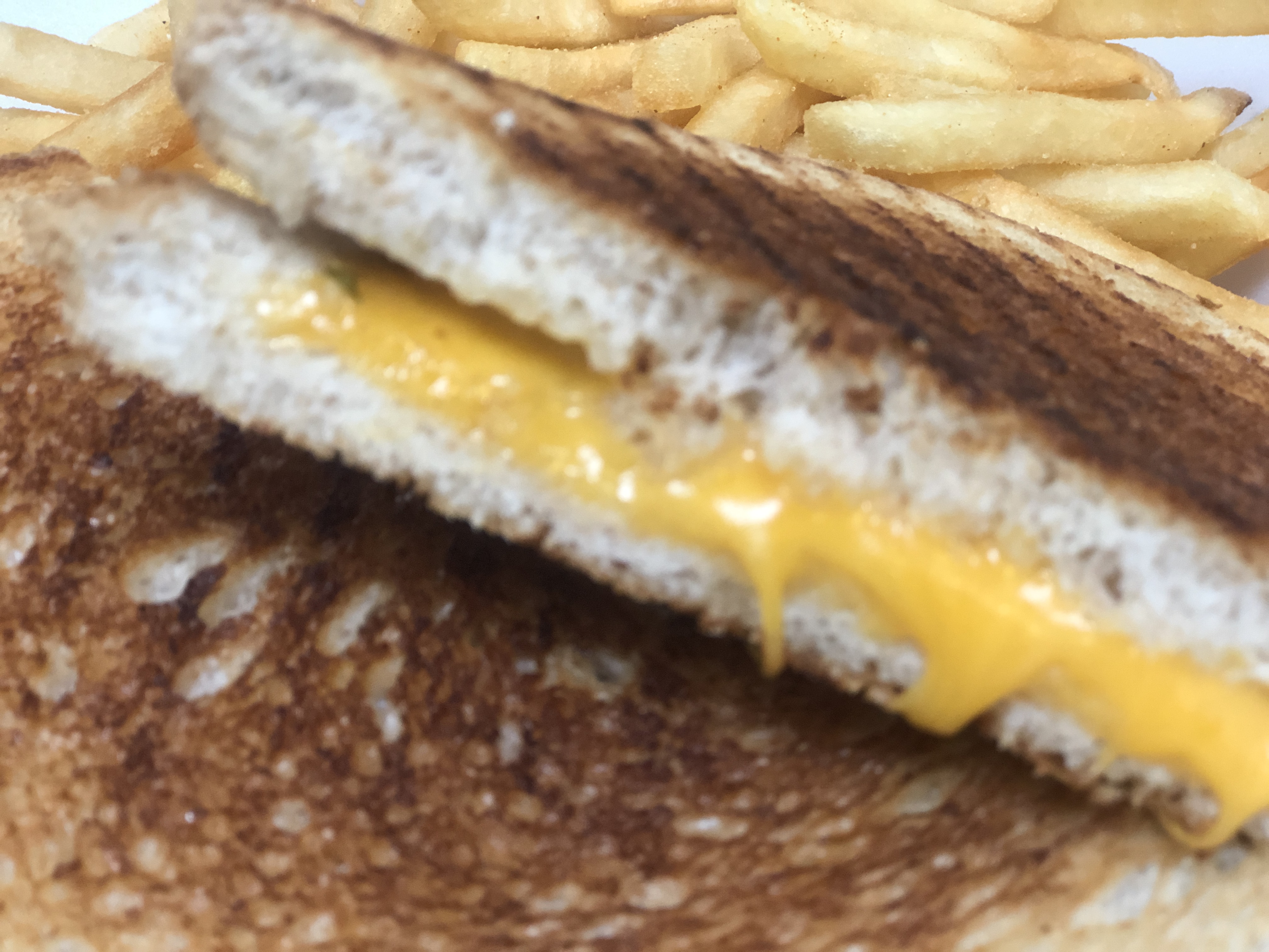Order Grilled Cheese Panini food online from Kubo Express store, Salt Lake City on bringmethat.com
