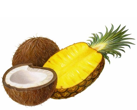 Order Pina Colada Water Ice food online from Cool J's Premium Water Ice store, Bear on bringmethat.com
