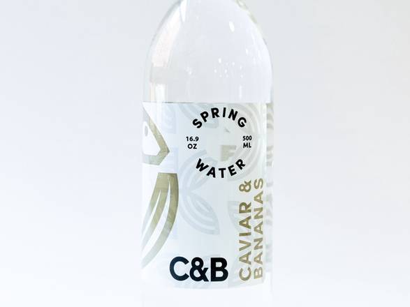 Order C&B Small Water* food online from Caviar & Bananas store, Charleston on bringmethat.com