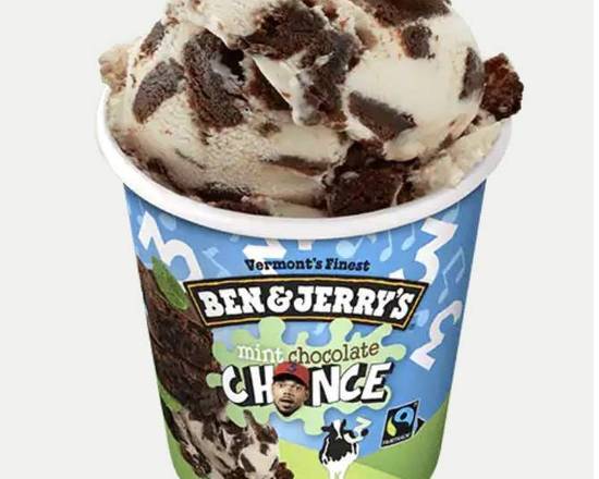 Order Mint Chocolate Chance  food online from Ben & Jerry store, Burbank on bringmethat.com