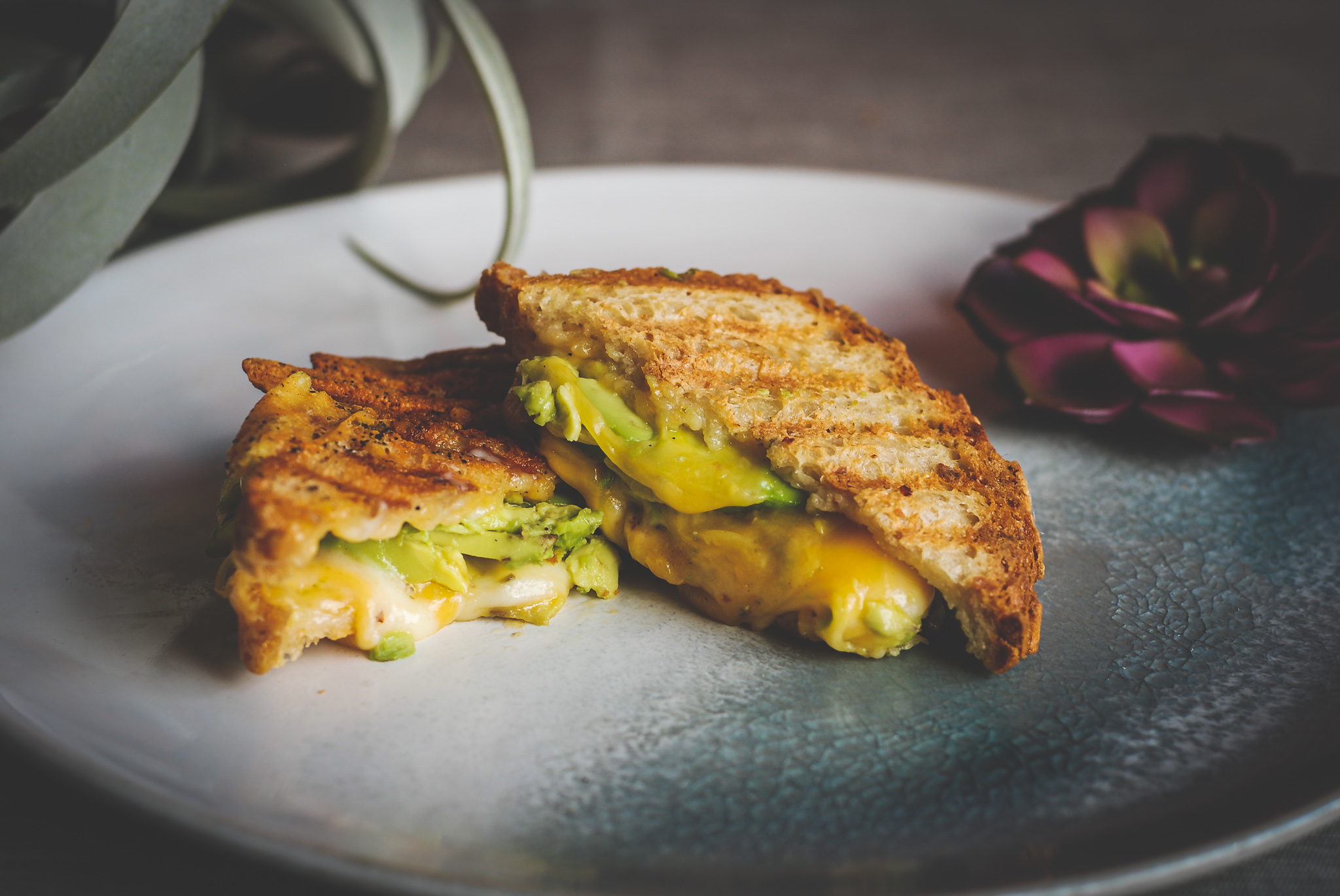Order Chili Avocado Grilled Cheese food online from The Well store, Oakland on bringmethat.com
