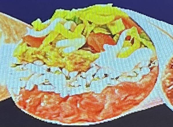 Order Vegan Burrito food online from Super Taco store, Schenectady on bringmethat.com