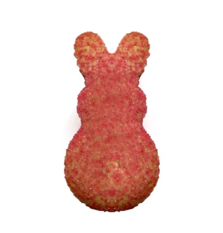 Order Dozen of Easter Bunny Sugar Cookie food online from Cookie Garden store, Wood Dale on bringmethat.com