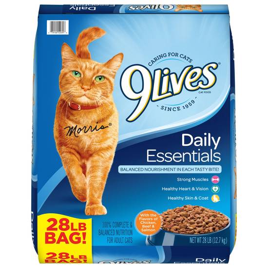 Order 9Lives Gentle Care Dry Cat Food With Chicken And Turkey Flavors food online from Deerings Market store, Traverse City on bringmethat.com