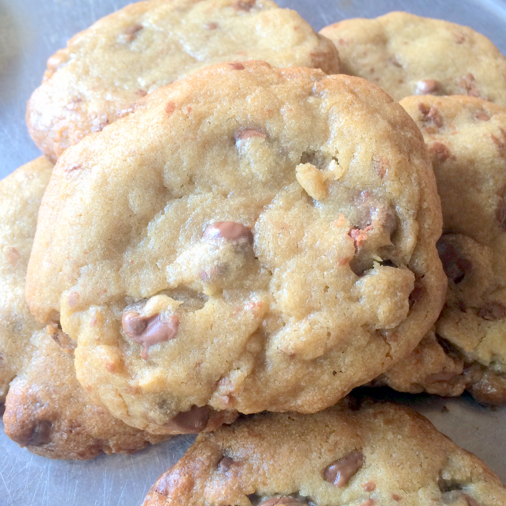 Order Homemade Chocolate Chip Cookie food online from Leaning Tower Pizza & Pasta store, Sherman Oaks on bringmethat.com