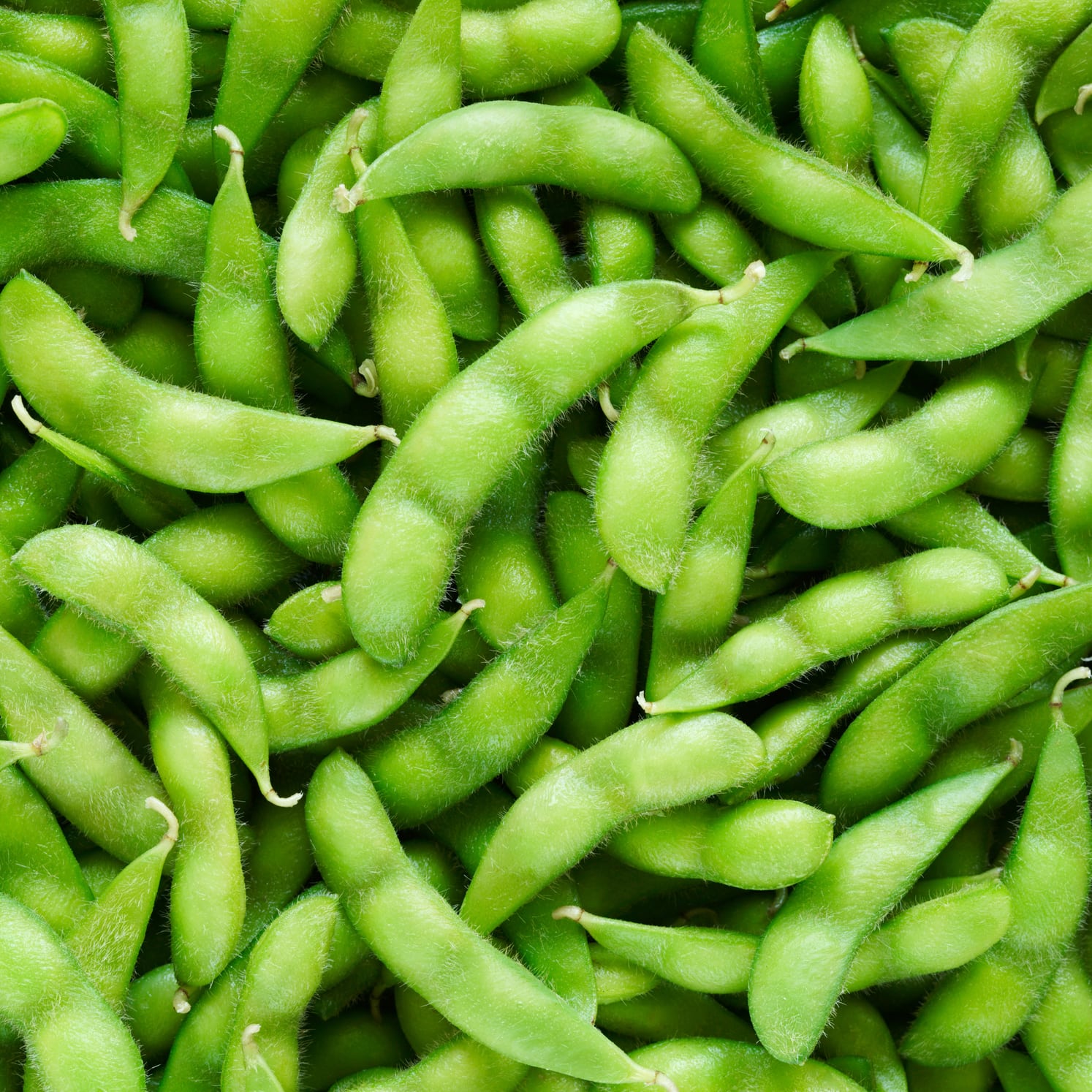 Order Edamame food online from Hana Japanese Steakhouse store, Albany on bringmethat.com