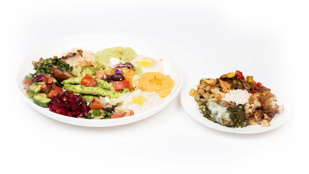 Order Vegetarian Ultimate Sampler food online from Fadi Mediterranean Grill store, Houston on bringmethat.com