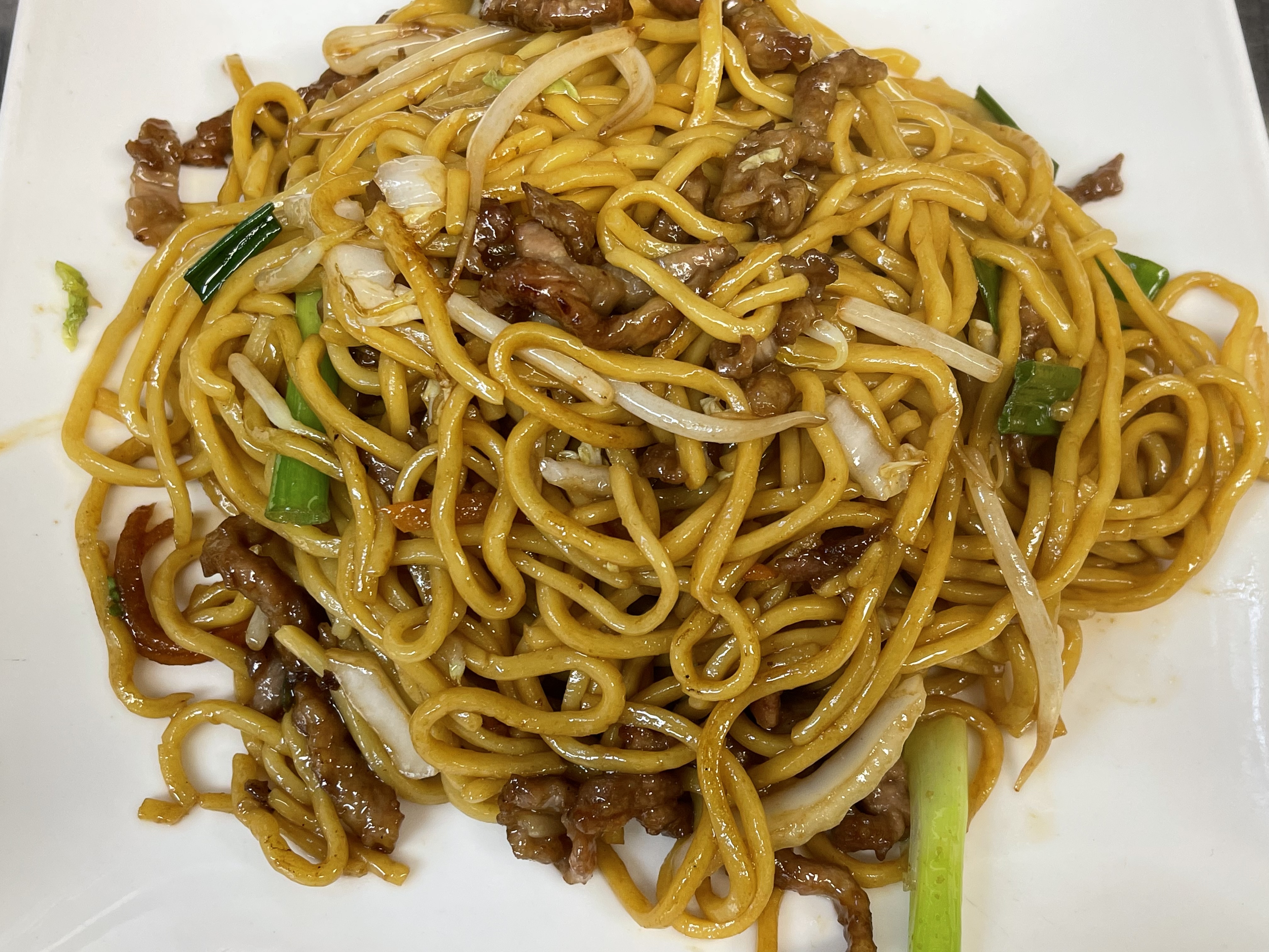 Order 311. Lo Mein food online from Land Of Plenty store, New York on bringmethat.com