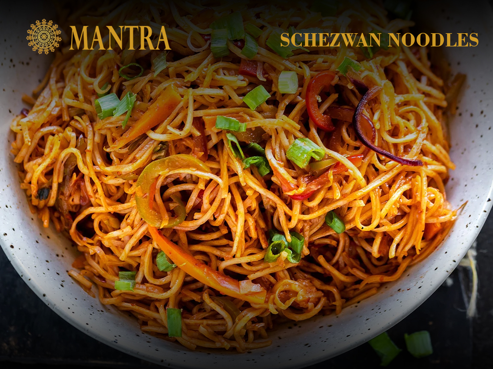 Order Schezwan Noodles food online from Mantra restaurant store, Jersey City on bringmethat.com