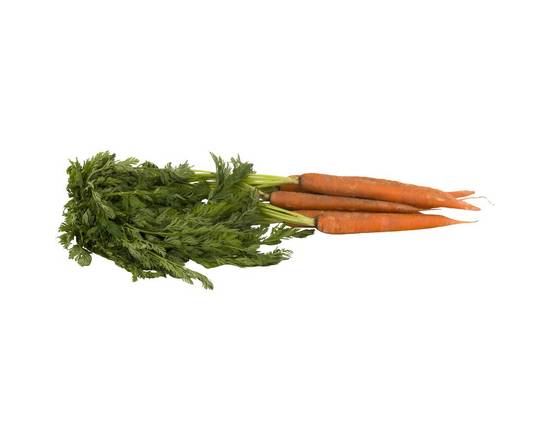 Order Organic Carrots (1 bunch) food online from Shaw's store, Newburyport on bringmethat.com