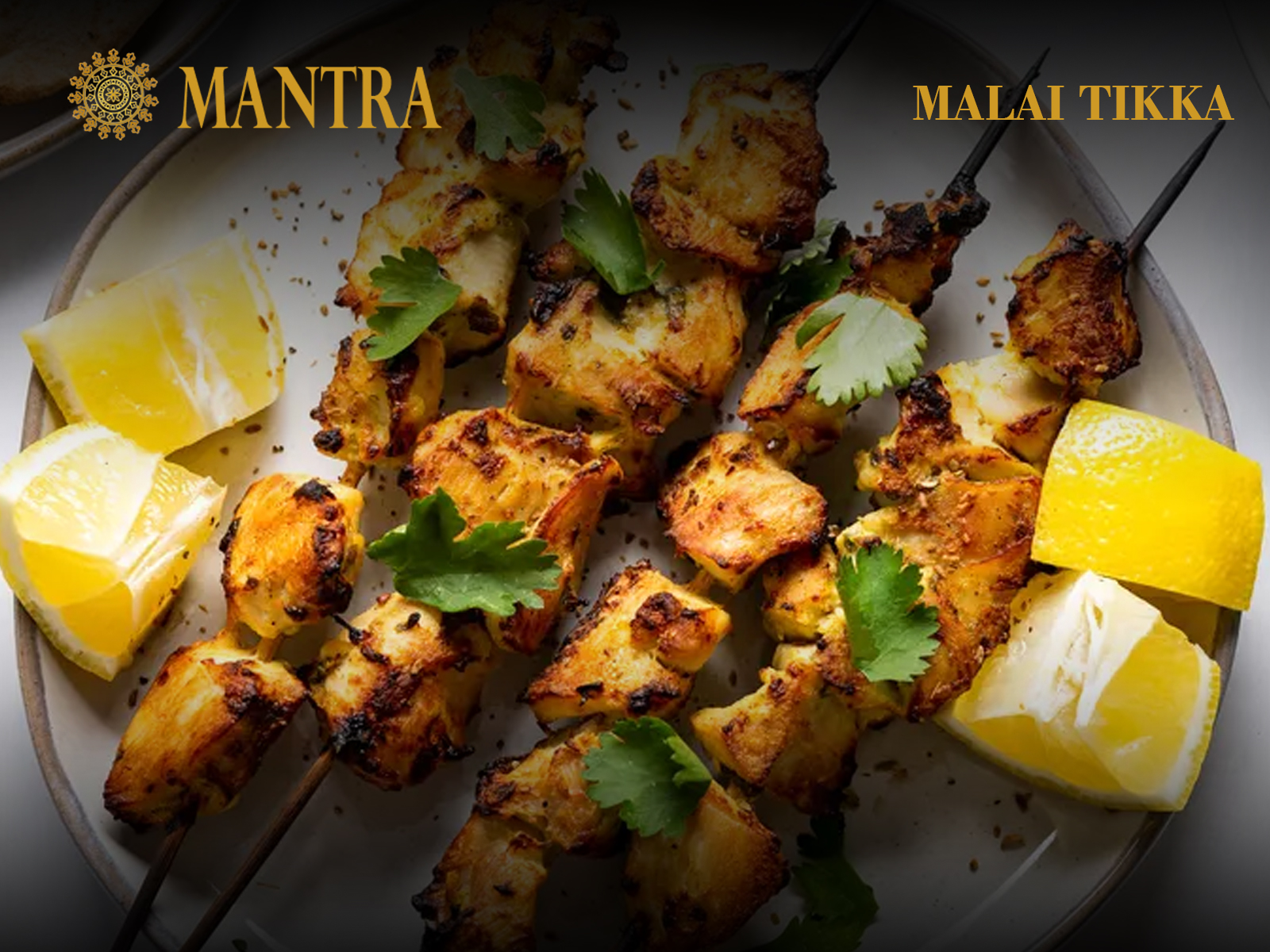 Order Malai Tikka food online from Mantra restaurant store, Jersey City on bringmethat.com