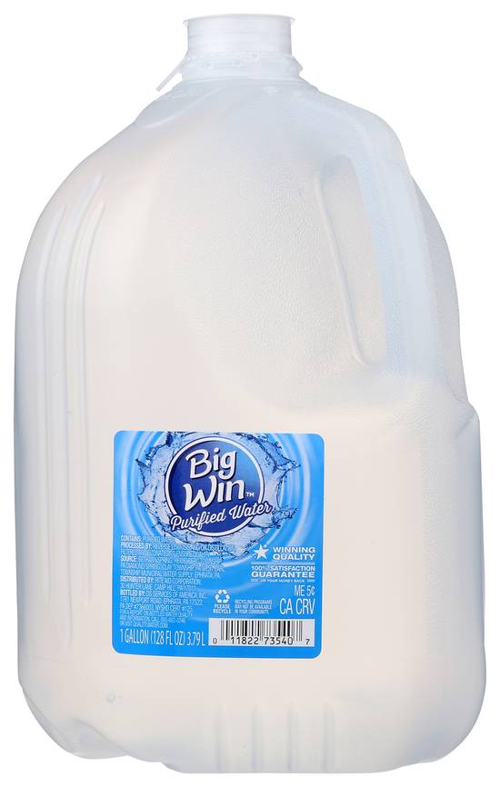 Order Big Win Purified Water, 128 fl oz food online from Rite Aid store, Brook Park on bringmethat.com