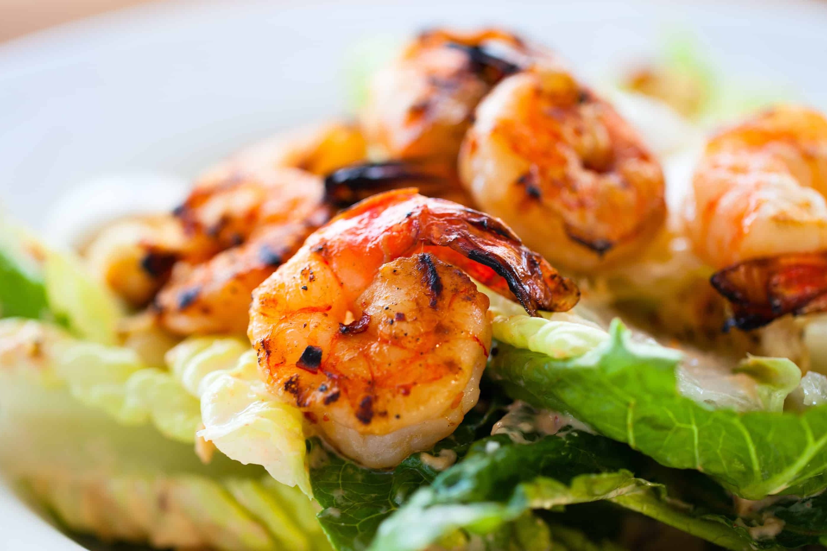 Order NY Grilled Shrimp Salad (12pc) food online from New York Grill store, Florissant on bringmethat.com