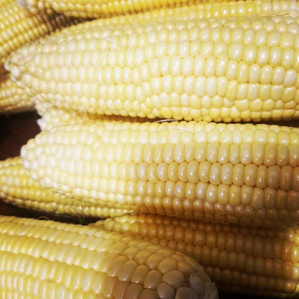 Order Just a Corn on the Cob food online from Elote Man Az store, Glendale on bringmethat.com