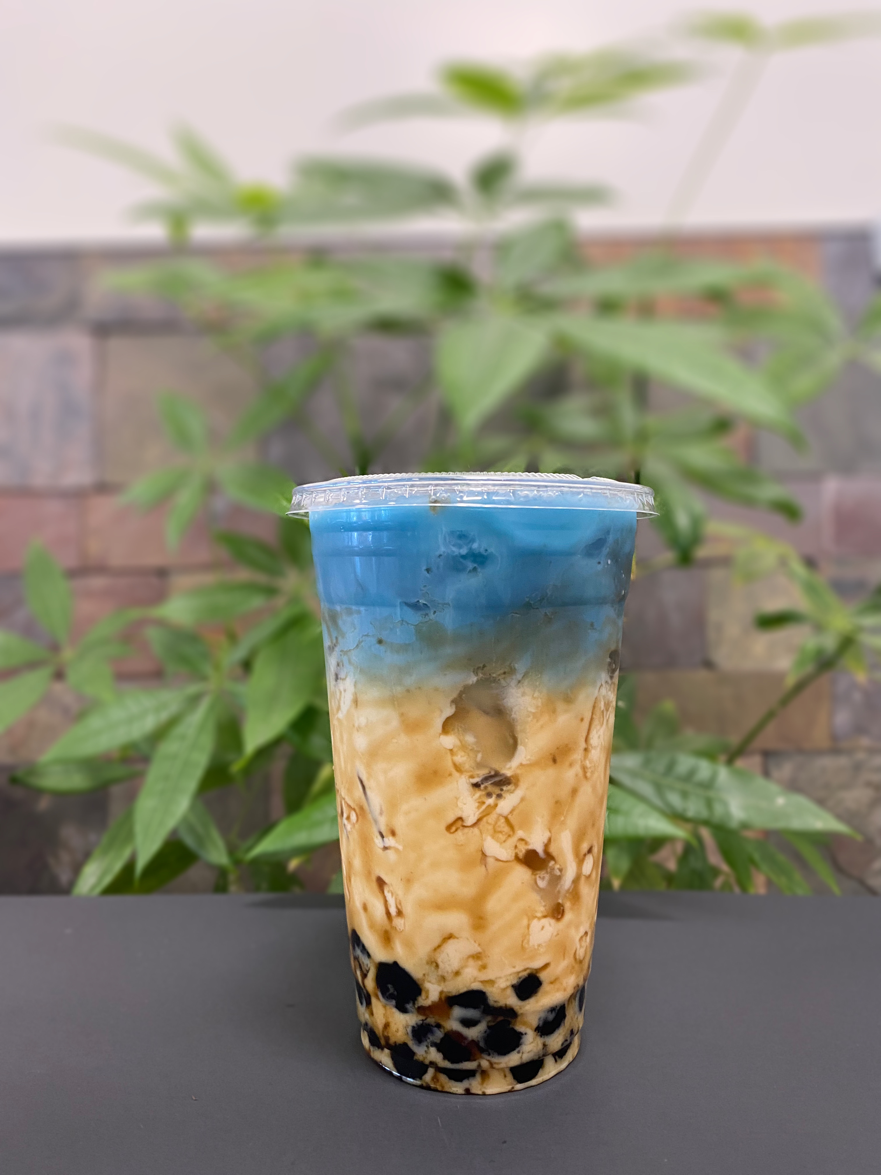 Order M3. Ocean Jasmine Milk Tea (LARGE) food online from Pho Bowl & Grill store, Oceanside on bringmethat.com