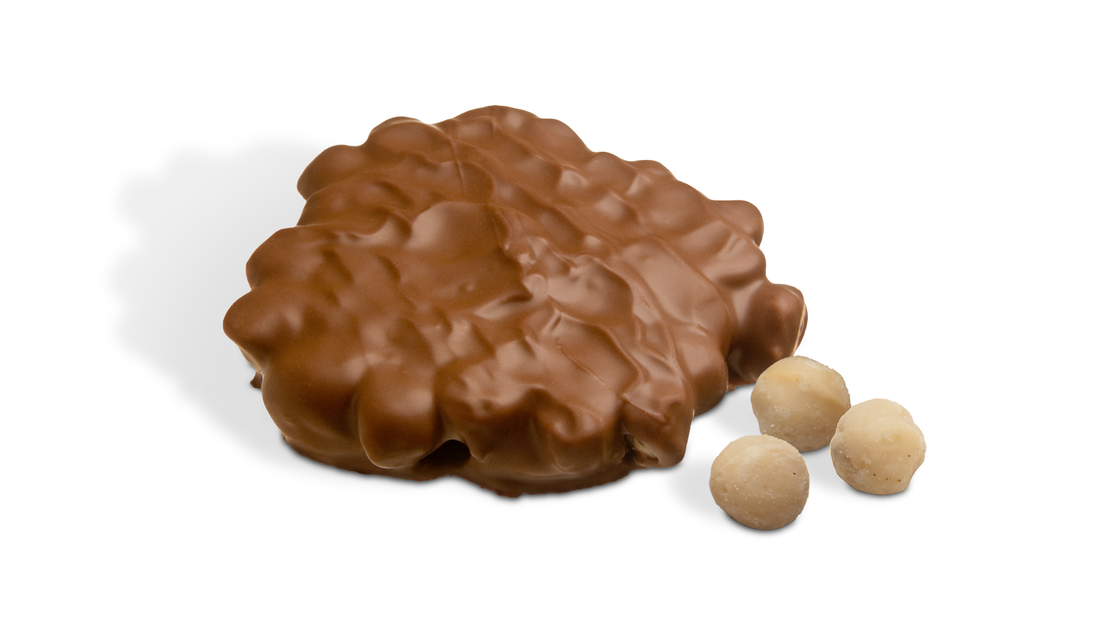 Order Macadamia Bear Milk Chocolate food online from Rocky Mountain Chocolate Factory store, Charlotte on bringmethat.com