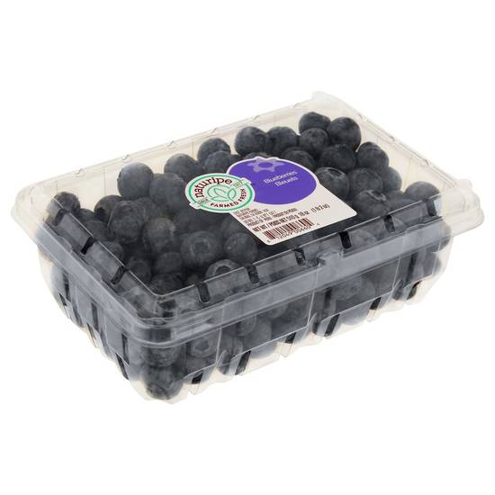 Order Naturipe · Blueberries (18 oz) food online from Winn-Dixie store, Zachary on bringmethat.com